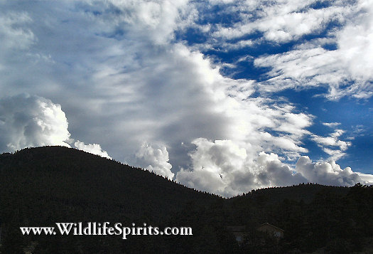 Click Picture to send as an  E-PostCard 52k 525x357